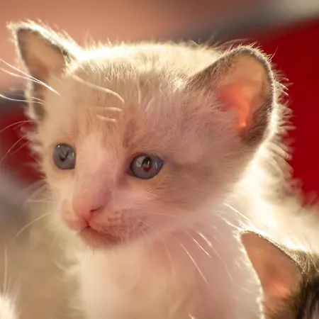 Enjoy Arrábida Natural Park *
