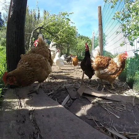 Villa Enjoy Arrábida Natural Park Palmela