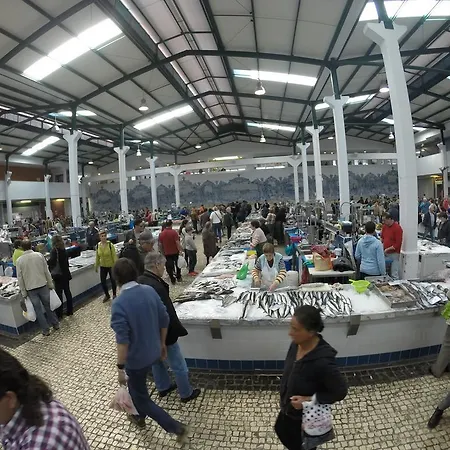 Enjoy Arrábida Natural Park Palmela