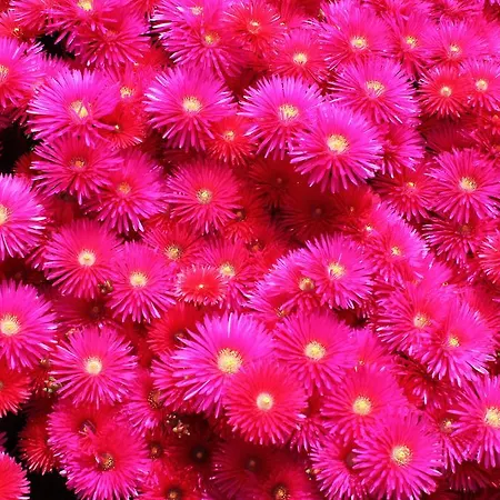 Enjoy Arrábida Natural Park * Palmela