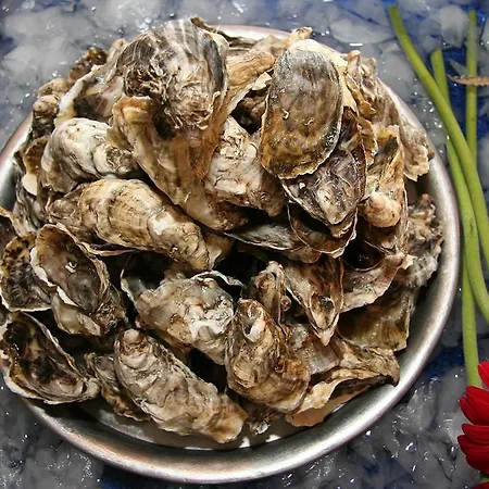 Enjoy Arrábida Natural Park Villa *