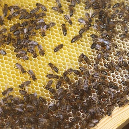 Enjoy Arrábida Natural Park Palmela