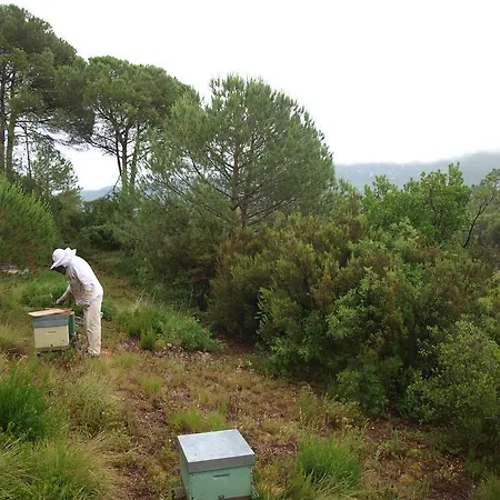 Enjoy Arrábida Natural Park * Palmela