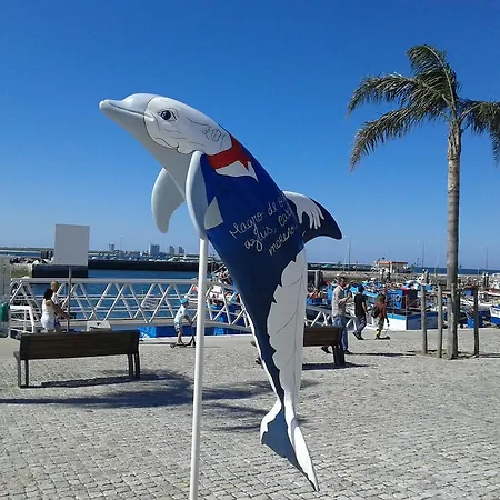 Villa Enjoy Arrábida Natural Park *