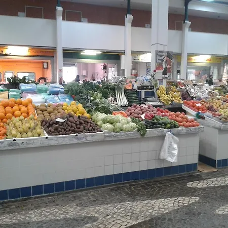 Villa Enjoy Arrábida Natural Park