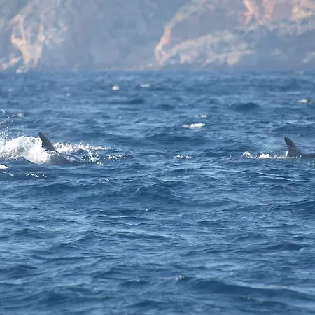 Enjoy Arrábida Natural Park Villa Palmela