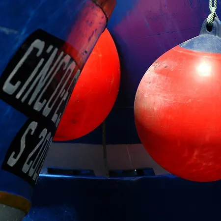 Enjoy Arrábida Natural Park Palmela