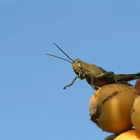 Villa Enjoy Arrábida Natural Park
