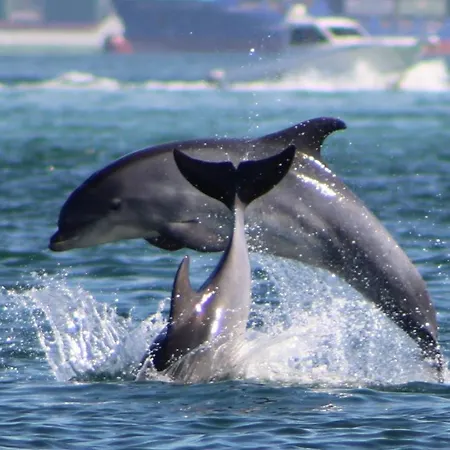Enjoy Arrábida Natural Park