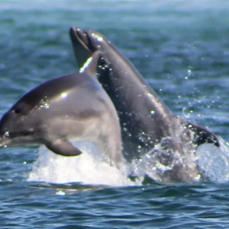 Villa Enjoy Arrábida Natural Park
