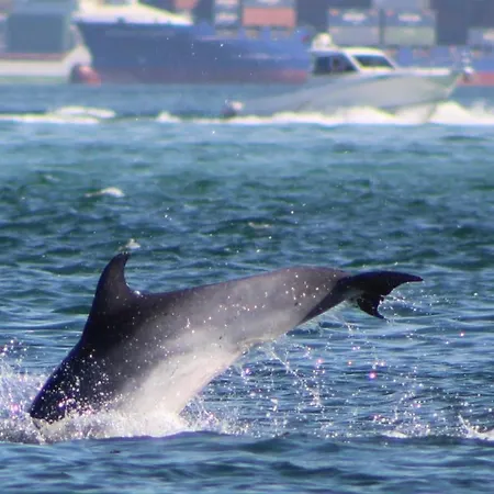 Enjoy Arrábida Natural Park * Palmela