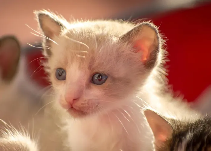 Enjoy Arrabida Natural Park *