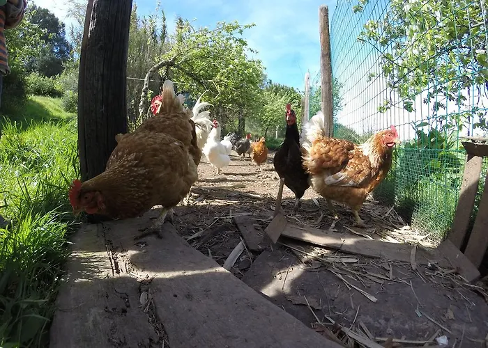 别墅 Enjoy Arrabida Natural Park 帕尔梅拉