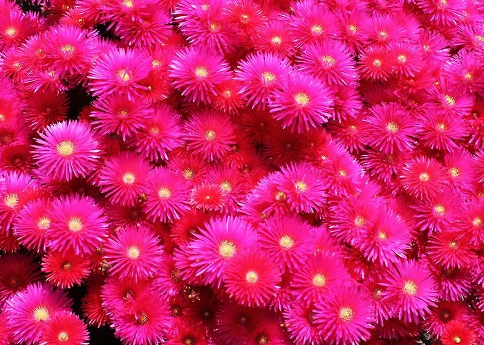 Enjoy Arrabida Natural Park * 帕尔梅拉